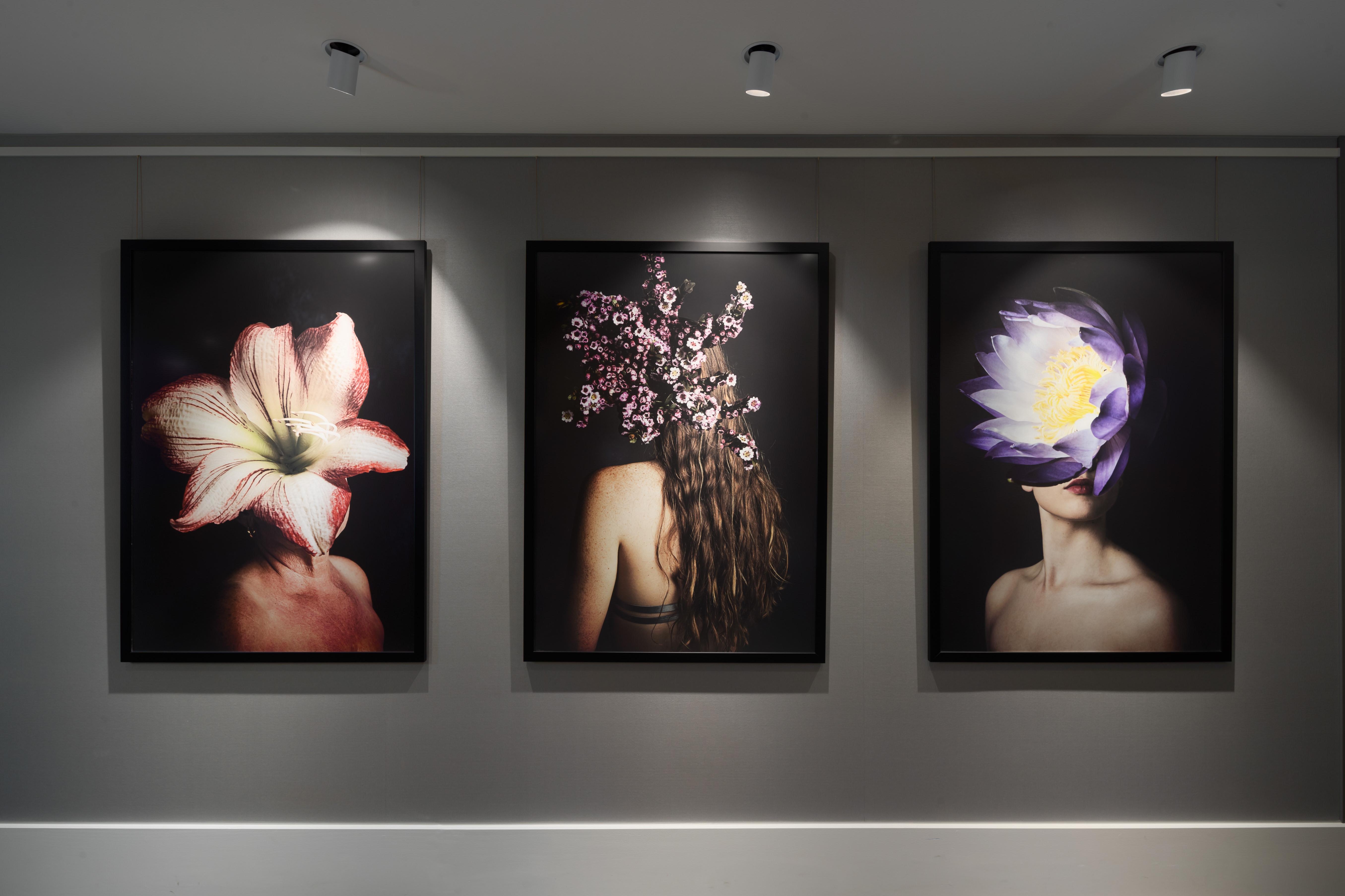 Crystalbrook Bailey Cairns Exterior foto The Flower Series